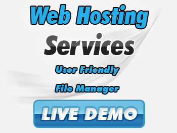 Web Hosting